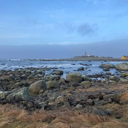Havbris With Sea View In Borhaug, Farsund * Borhaug