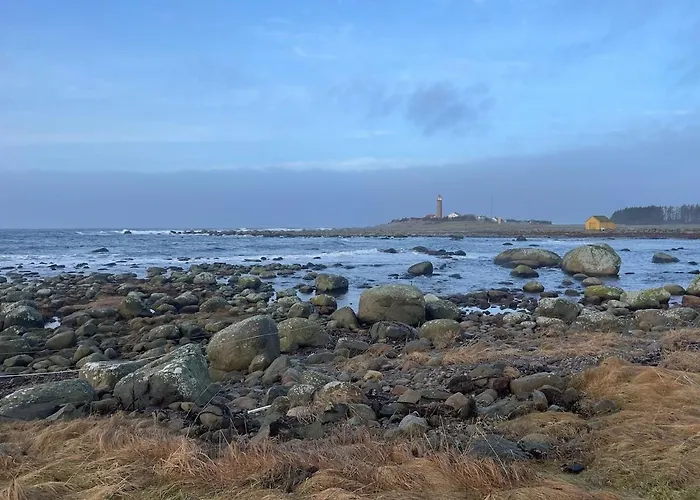 Havbris With Sea View In Borhaug, Farsund * Borhaug