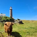 Havbris With Sea View In Borhaug, Farsund * Borhaug
